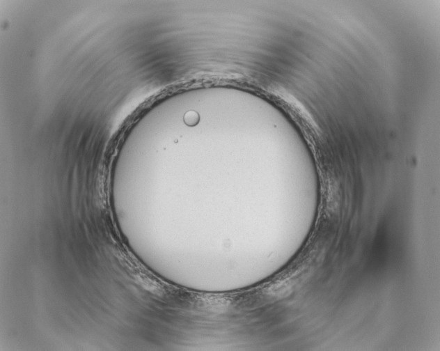 X0000088090878200706011601