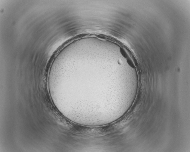 X0000088090879200706011601