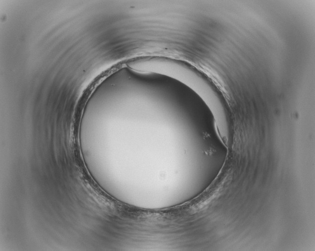 X0000088090880200706011601