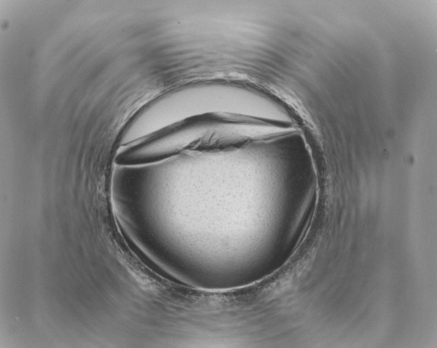 X0000088090881200706011601