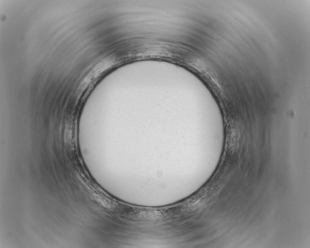 X0000088090882200706011601