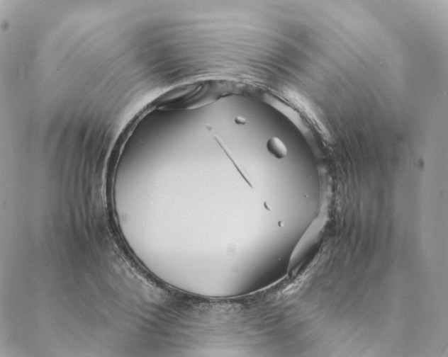 X0000088090884200706011601