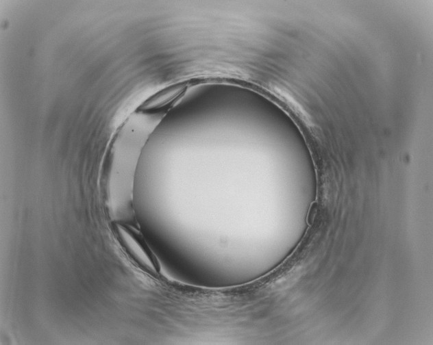 X0000088090885200706011601