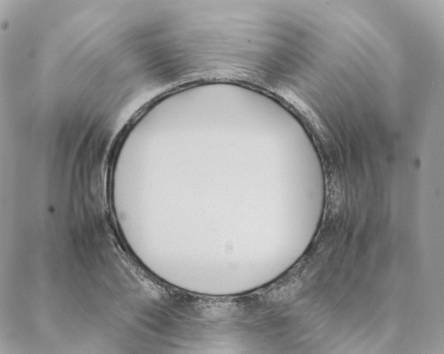 X0000088090886200706011601