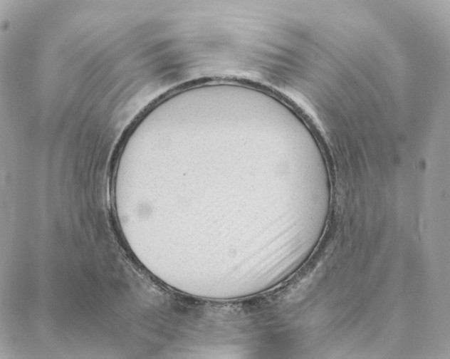 X0000088090887200706011601