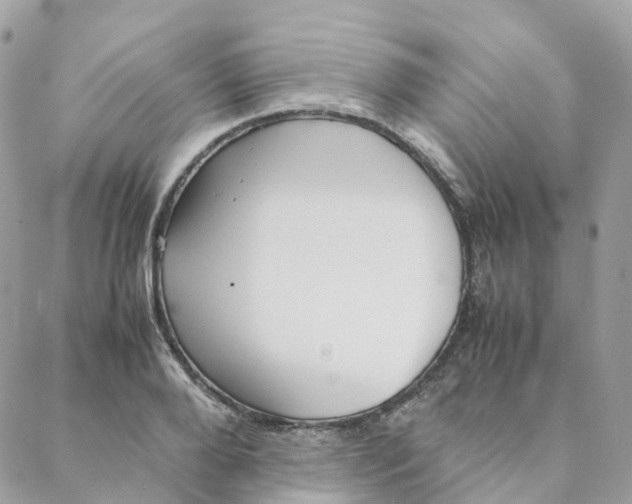 X0000088090888200706011601