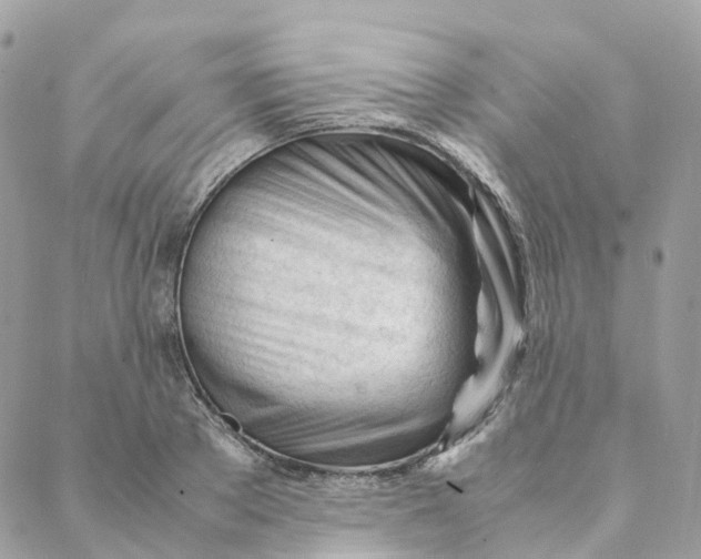 X0000088090889200706011601