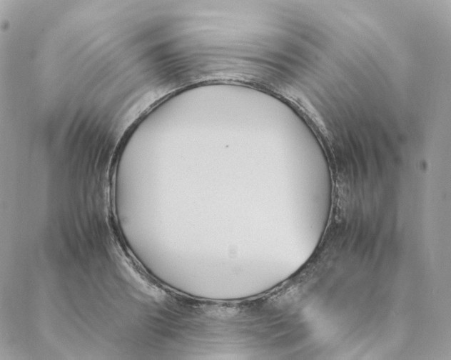 X0000088090890200706011601