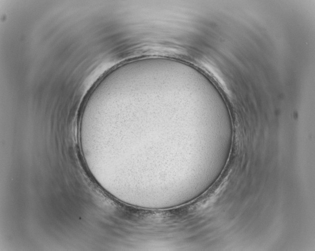 X0000088090891200706011601