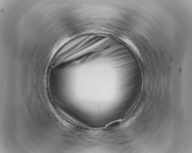 X0000088090893200706011601