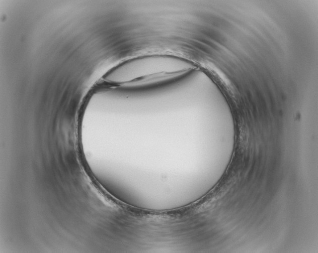 X0000088090894200706011601