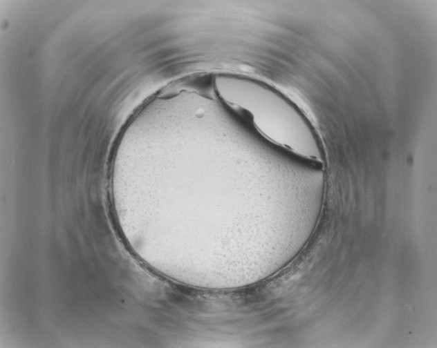 X0000088090895200706011601