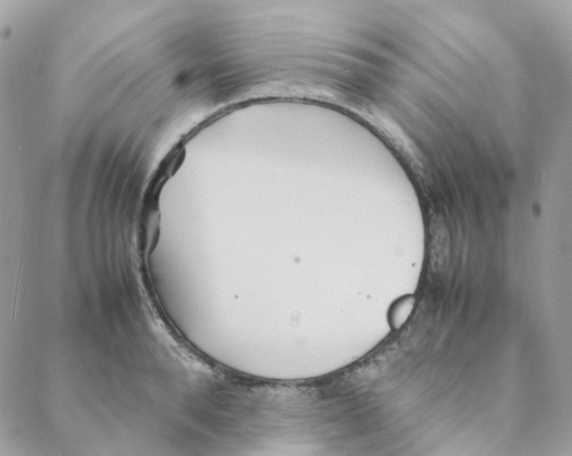 X0000088090896200706011601