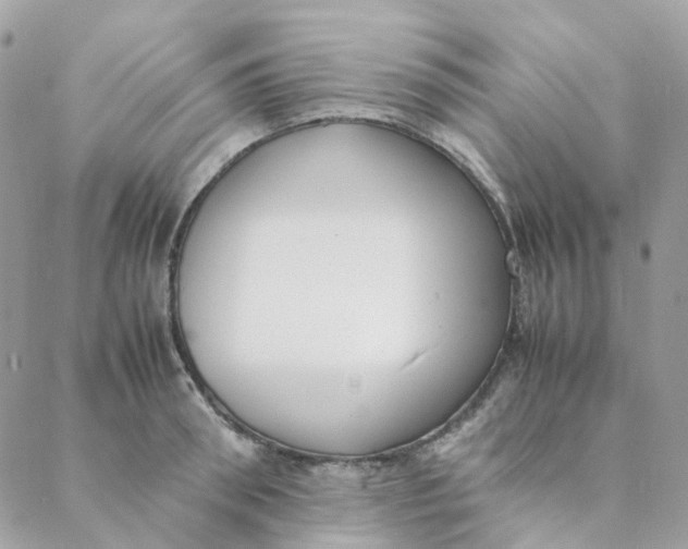 X0000088090898200706011600