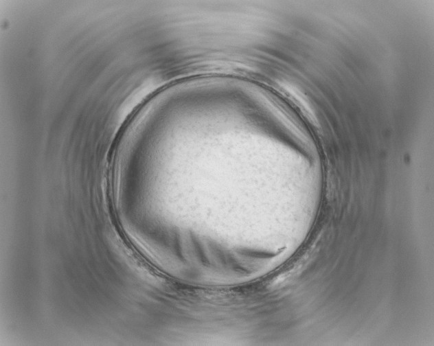 X0000088090899200706011600