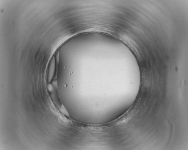 X0000088090900200706011600