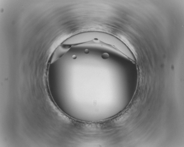 X0000088090901200706011600