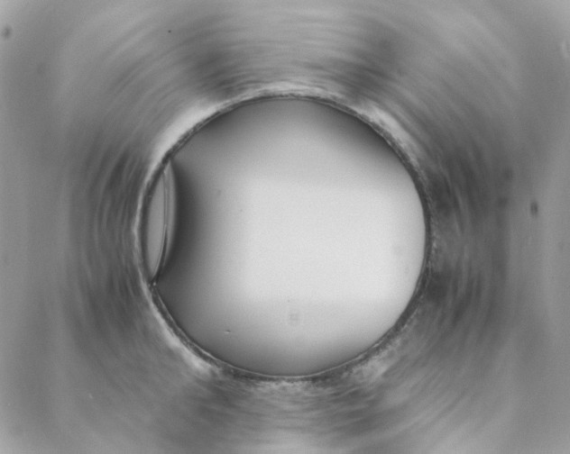 X0000088090902200706011600