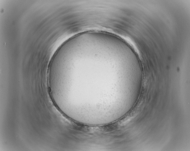 X0000088090903200706011600