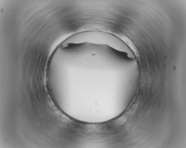 X0000088090904200706011600