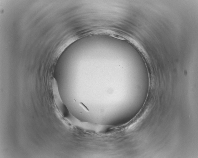 X0000088090905200706011600