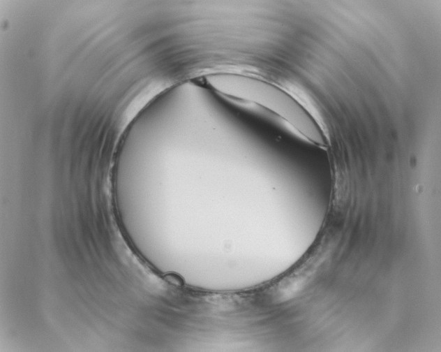 X0000088090906200706011600