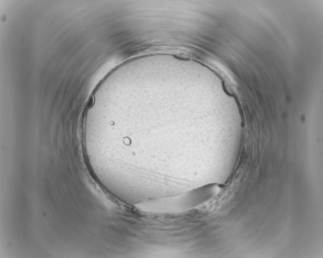 X0000088090907200706011600