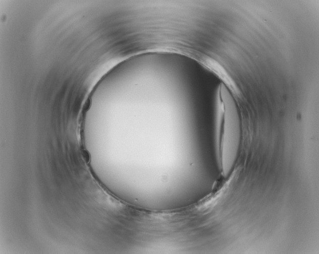 X0000088090908200706011600