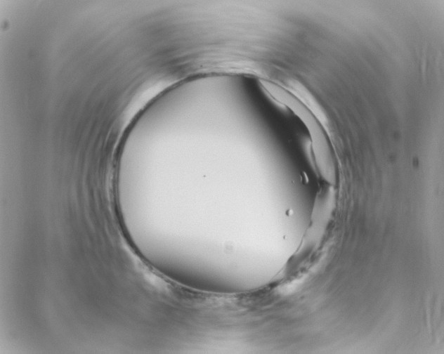 X0000088090909200706011600