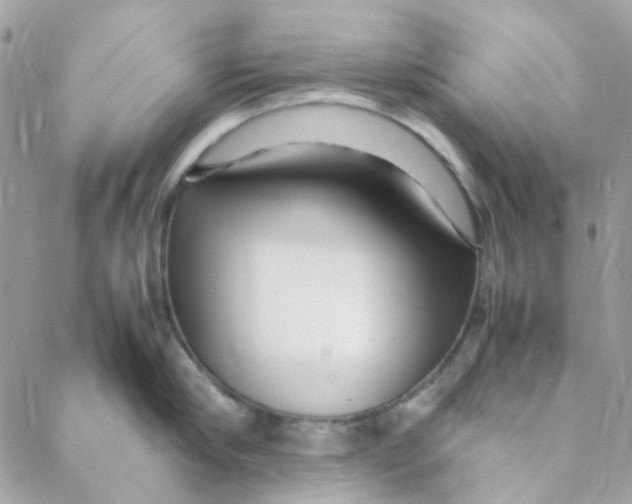 X0000088090910200706011600