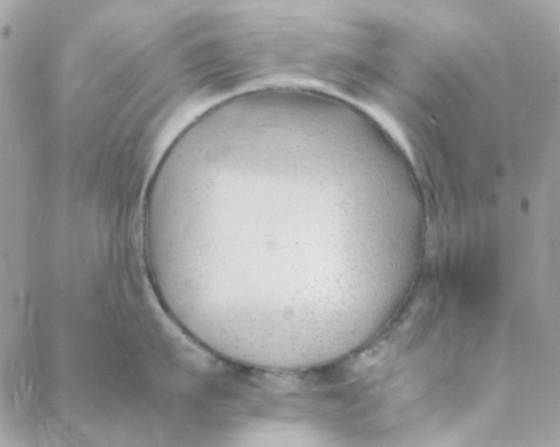 X0000088090911200706011600