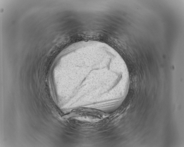 X0000088090913200706011559