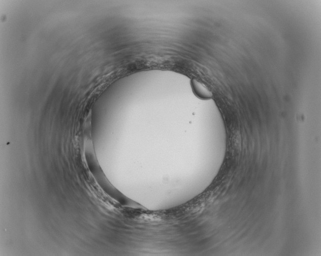 X0000088090914200706011600