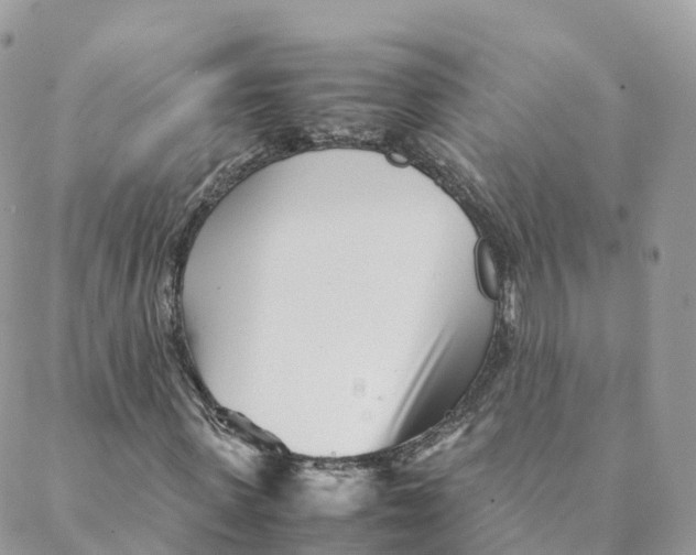 X0000088090915200706011600