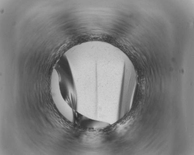 X0000088090916200706011600