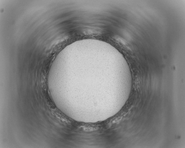 X0000088090917200706011600