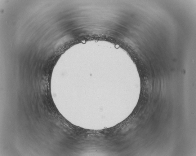 X0000088090918200706011600