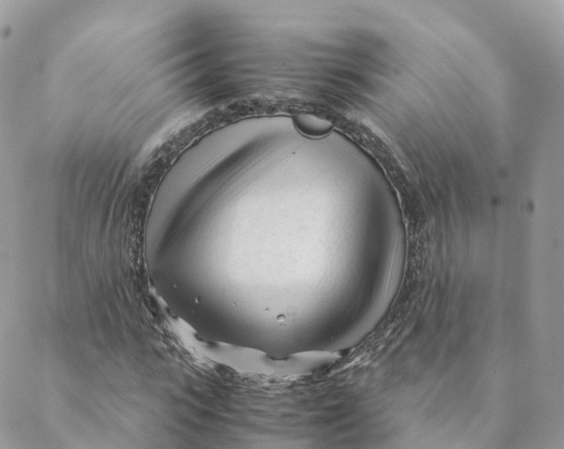 X0000088090919200706011600