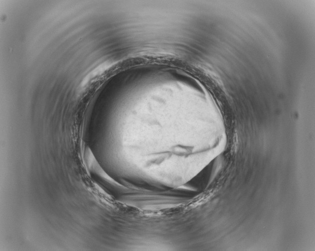 X0000088090920200706011600