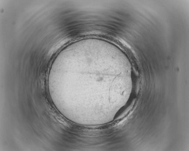 X0000088090921200706011600