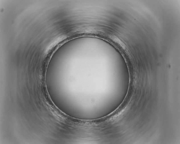 X0000088090922200706011600