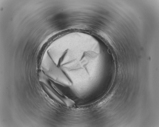 X0000088090923200706011600