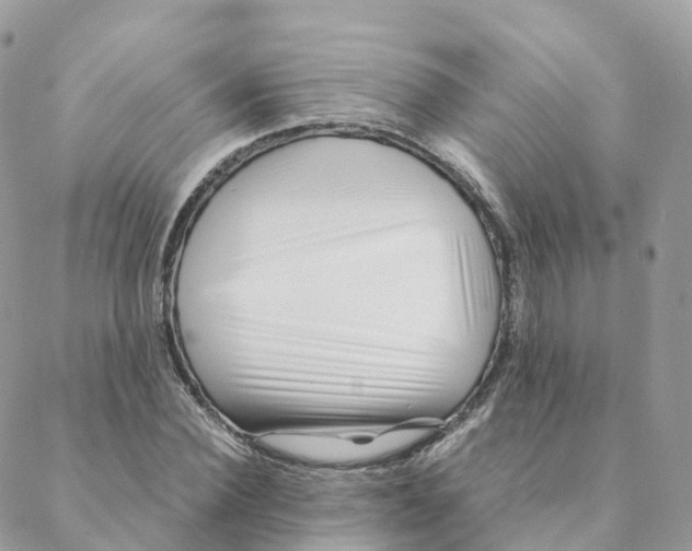 X0000088090924200706011600