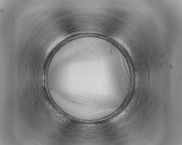 X0000088090925200706011600