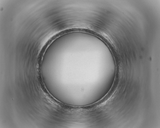 X0000088090926200706011600