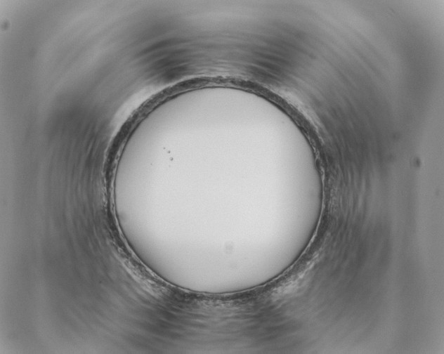 X0000088090927200706011600