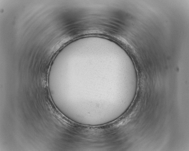 X0000088090929200706011600