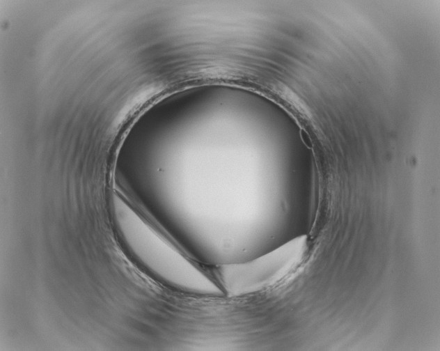 X0000088090930200706011600