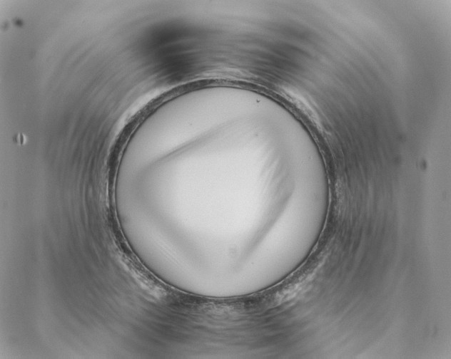 X0000088090931200706011600