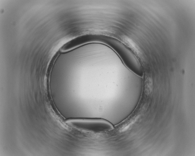 X0000088090932200706011600